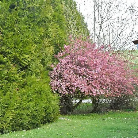 Domaine Des Montots Villa Tanlay Exterior photo