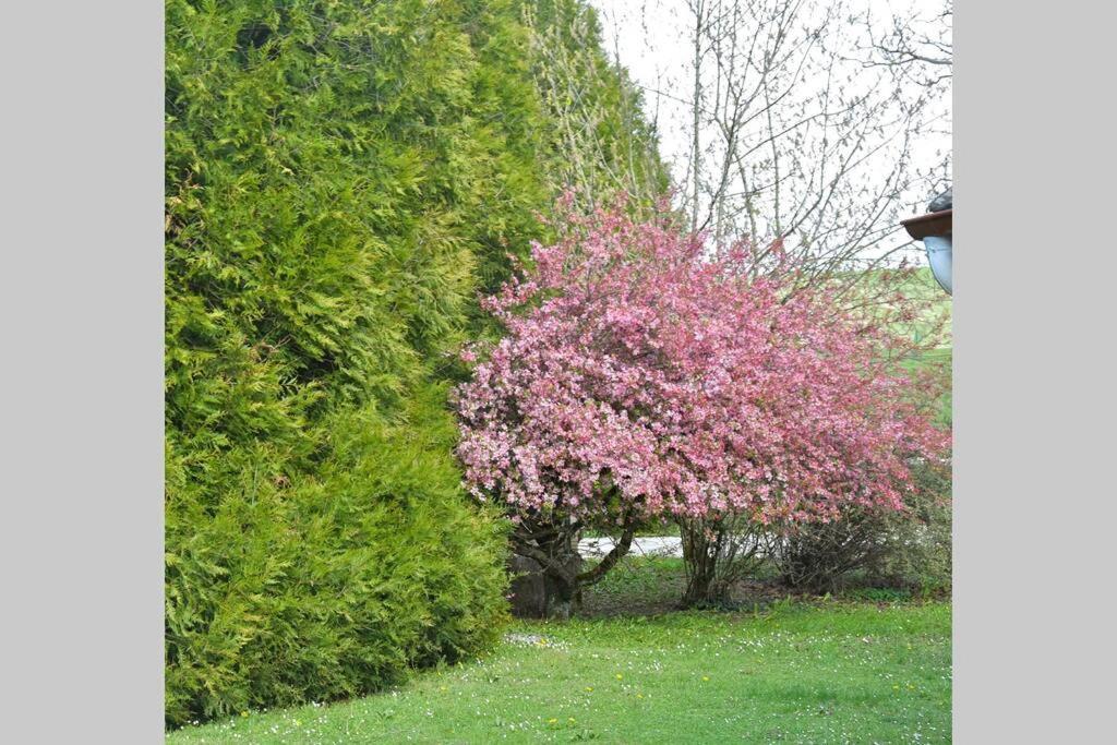 Domaine Des Montots Hébergement de vacances Tanlay